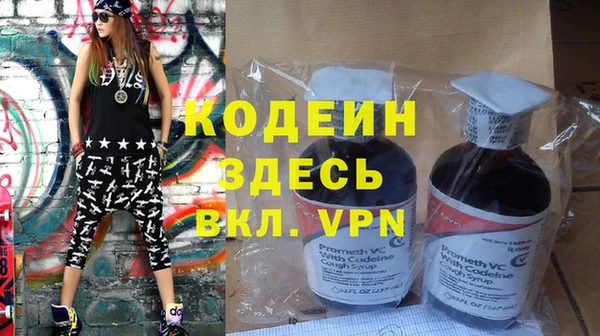 прущие грибы Абаза