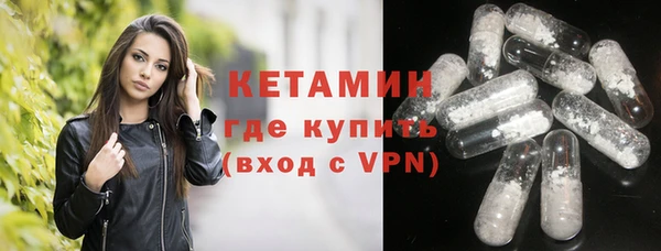 прущие грибы Абаза