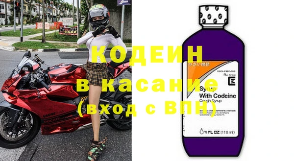 прущие грибы Абаза