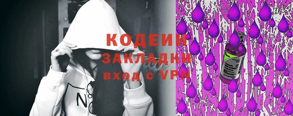 прущие грибы Абаза
