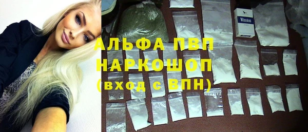 прущие грибы Абаза