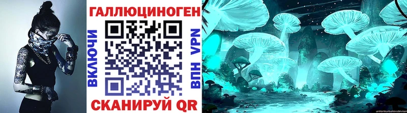 Псилоцибиновые грибы Psilocybine cubensis  Новосиль 